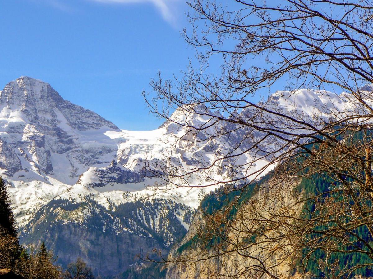 Apartment Fortuna By Interhome Wengen Dış mekan fotoğraf
