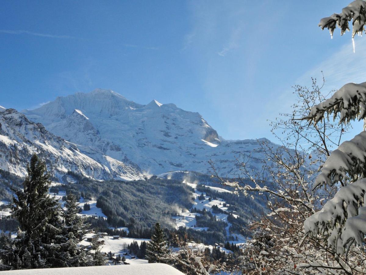 Apartment Fortuna By Interhome Wengen Dış mekan fotoğraf